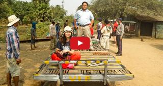 តើអ្នកធ្លាប់ជិះរថភ្លើង​ធ្វើពីឬស្សីដែរទេ? ចុចមើលវីដេអូភ្ញៀវជិះរថភ្លើងឬស្សីសប្បាយឡើងបាស់សក់!