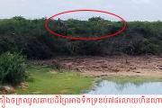 ជម្លោះព្រោះតែការឈូសឆាយព្រៃអាងទឹកលើទ្រនប់៧៨នៅតែជាប្រធានបទក្តៅនៅឡើយ