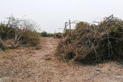 ព្រៃលិចទឹកជម្រកត្រីពងកូនត្រូវបានអ្នកមានលុយមានអំណាចឈូសឆាយបំផ្លាញស្ទើរហិនហោចអស់ហើយ