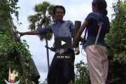 រឿង កាំបិតត្នោត