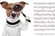 ចម្ងល់សត្វឆ្កែ