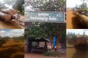 ឈើដែល​ឈ្មួញ​ដឹក​ឆ្លង​កាត់​កន្លង​មក